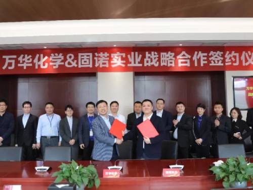 STRATEGIC COOPERATION BETWEEN GNS AND WANHUA
