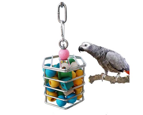 Why Parrot Metal Toys Are Becoming Popular