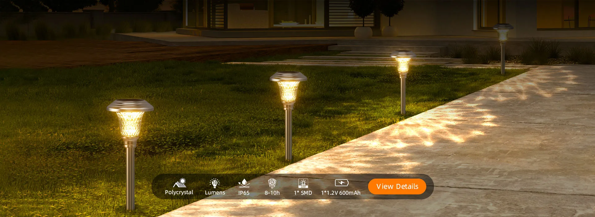 Solar Lawn Landscape Spike Lights