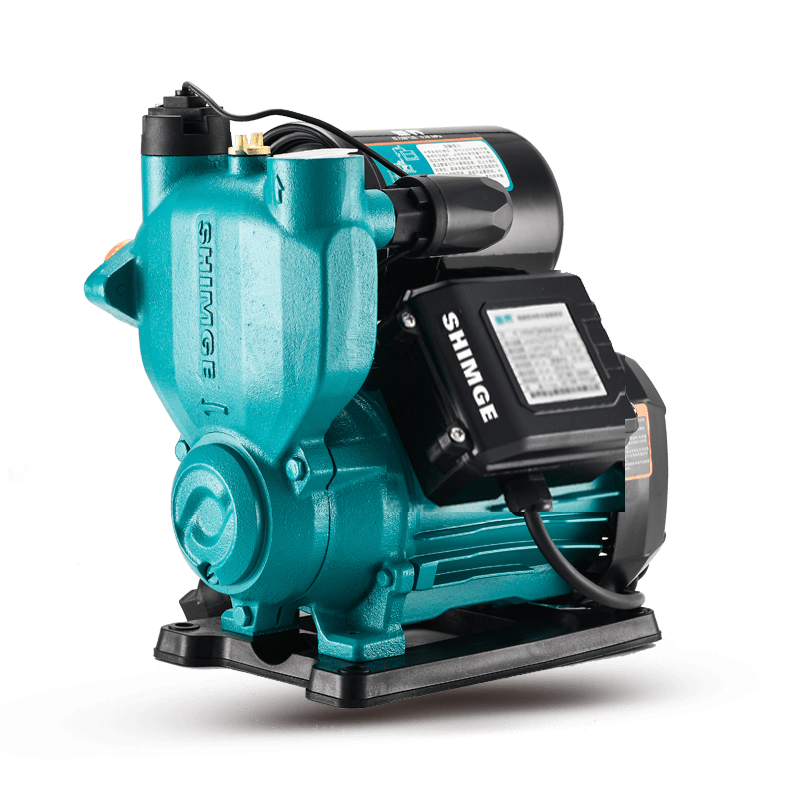 Maintenance of Automatic Self-Priming Peripheral Pumps