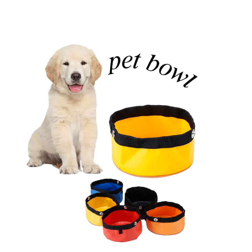 Food Water Feeding Portable Travel Camping Pet Bowls For Dogs And Cats