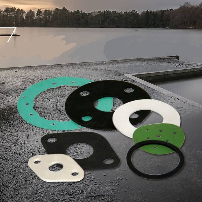 Varieties of Gaskets and Their Scope of Application