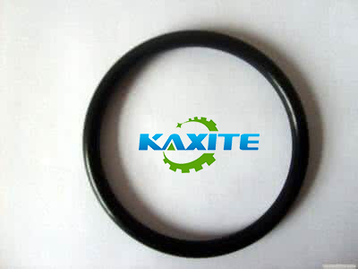 viton ring sample made for united state customer, and waite for Fedex come to take