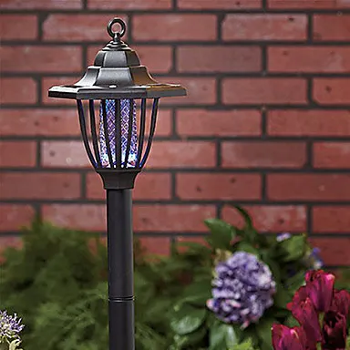 Luce solare Bug Zapper