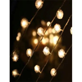 Dipimpin Fairy Light