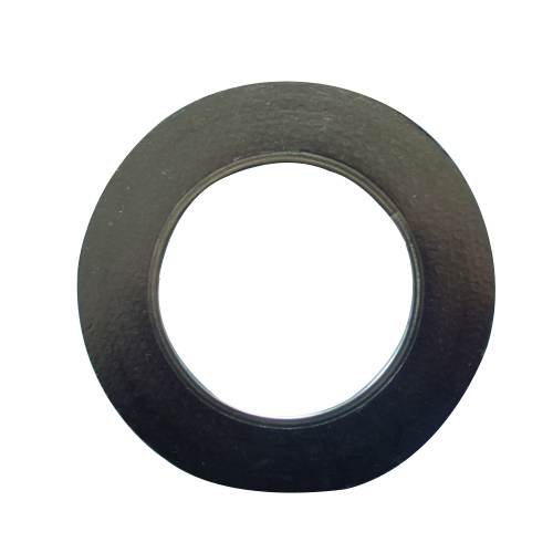 Graphite Gasket Reinforced With Tanged Metal