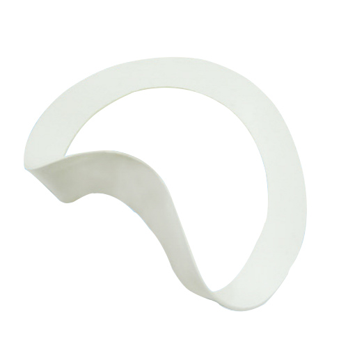 Expanded PTFE Gasket