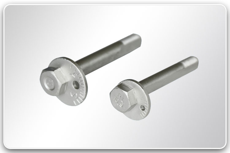 Stainless Steel Bolt with Scaled Washer