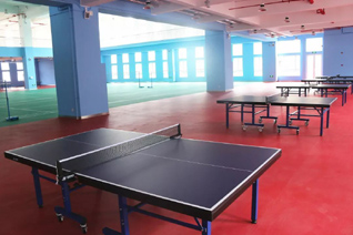 Спортски под од PVC со висок квалитет за пинг-понг