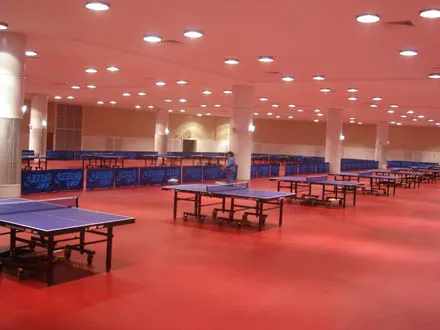 PVC Sports Flooring for Table Tennis Court