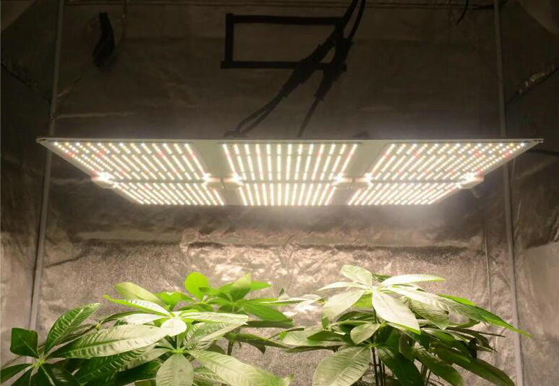 How is the status for LED grow light market?