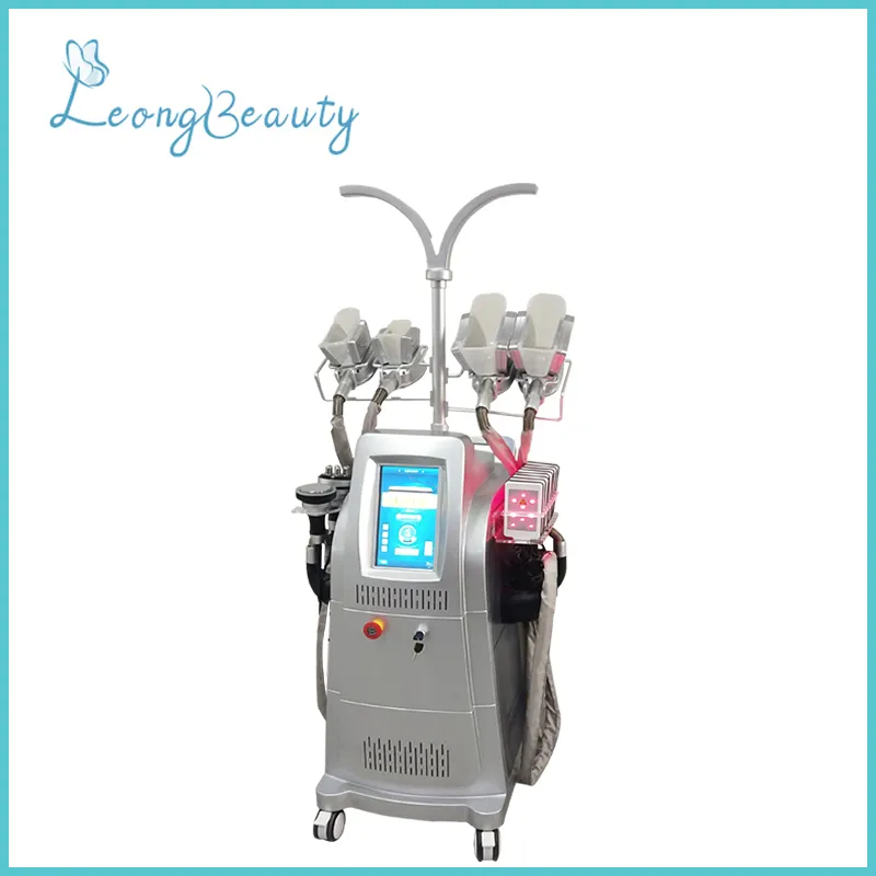Vertical Grey Color Silicon Cryolipolysis Rf Cavitation Weight Loss Machine
