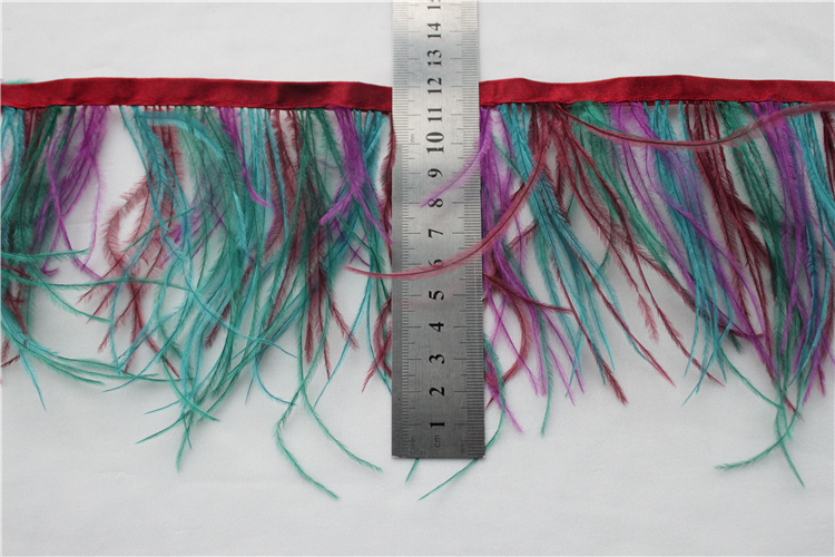 Ostrich Feather Trim For Clothing