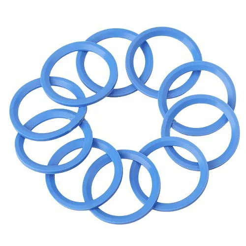 Fluorosilicone Rubber Gasket