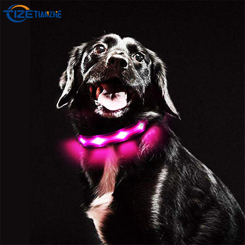 Heavy Duty USB Rechargeable Waterproof LED Pet Dog Collar