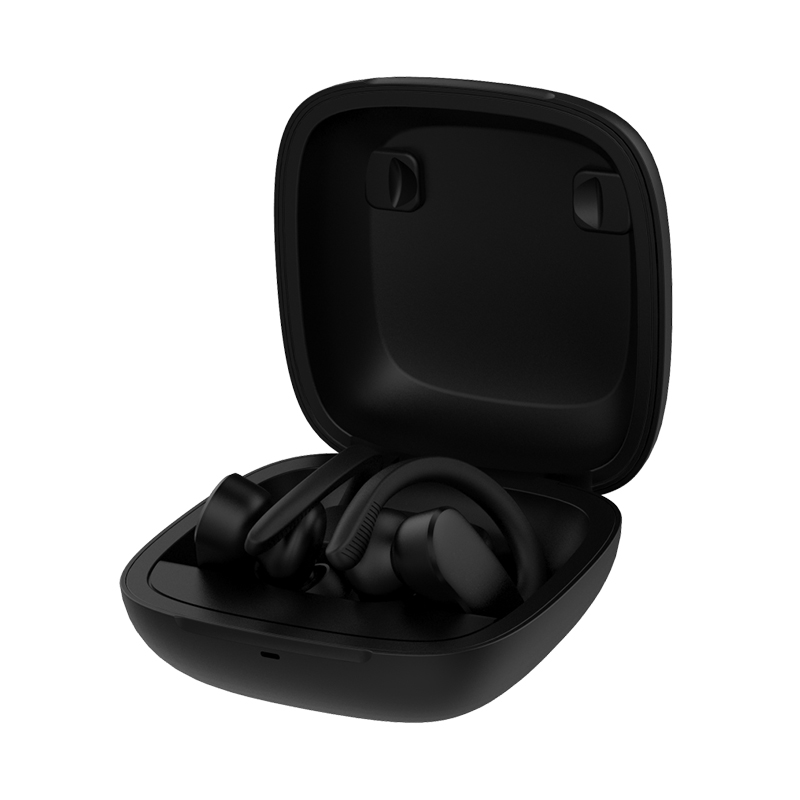 Ear-hook Style True Wireless Stereo BT5.0 Earbuds