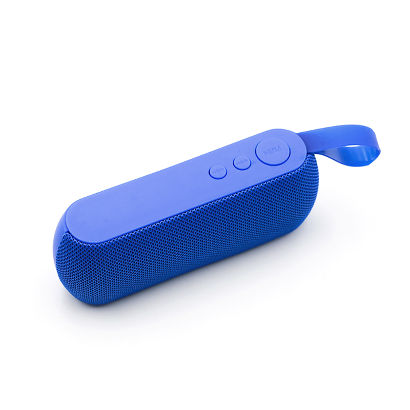 Mini TWS FM Radio Bluetooth Speaker