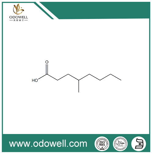 Kyselina 4-methyloktanová