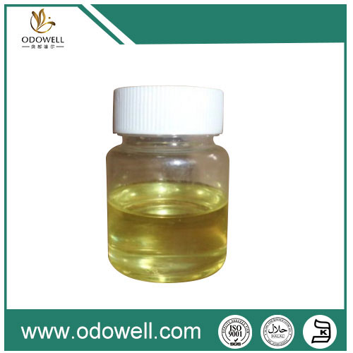 Extraction process of garlic oil