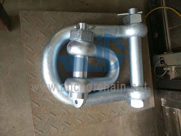 D Type Alloy Shackle CB3061