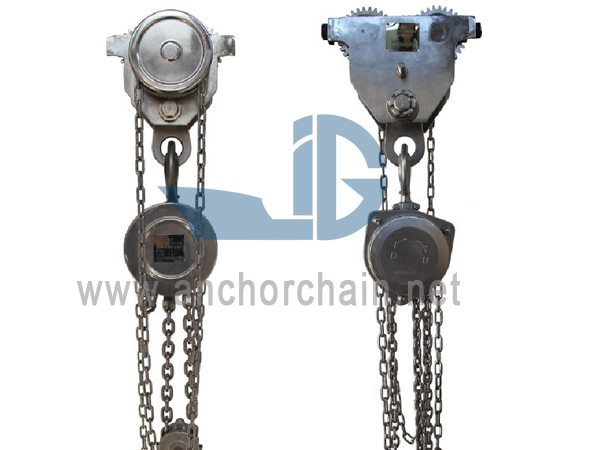 Running Type Stainless Steel Electric Chain Block