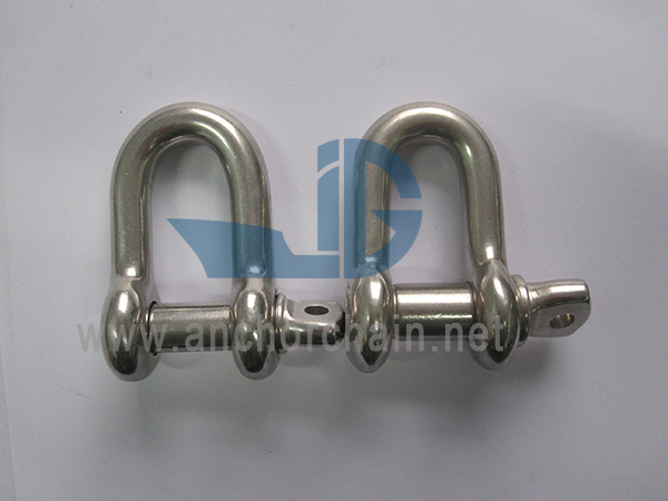 Stainless Steel D Type Shackle