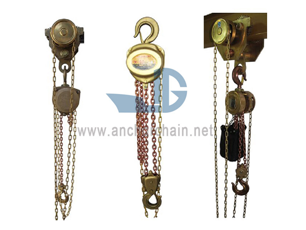 Totally Enclosed Type Explosion Proof Chain Hoist