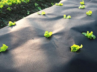 Application and advantages of Weed Control Nonwoven Fabric For Agriculture