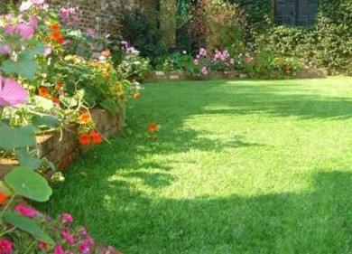 The basic structure of the artificial turf grass