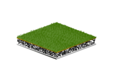 Green roof drain