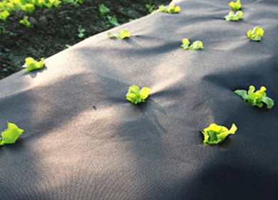 Weed Control Nonwoven Fabric For Agriculture
