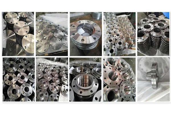 Common types of Forged Flanges popular on the market