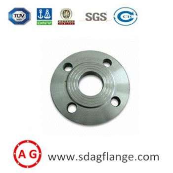 Forged Steel Plate Flange DIN2576 PN10 S235JR