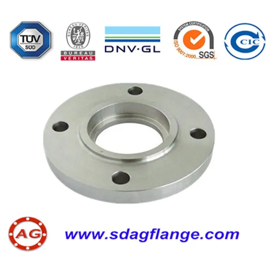 Flange lapsum de Ansi B16.5 CL Paleonemertea Class