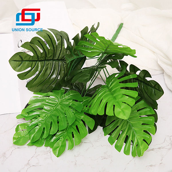 Gute Qualität Wettbewerbsfähige Preissimulation Turtleback Leaf Pflanzen für die Dekoration Verwendung
