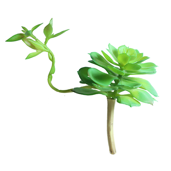 Flor de loto de alta calidad con plantas carnosas de cuerpo combinado para decoración del hogar - 1