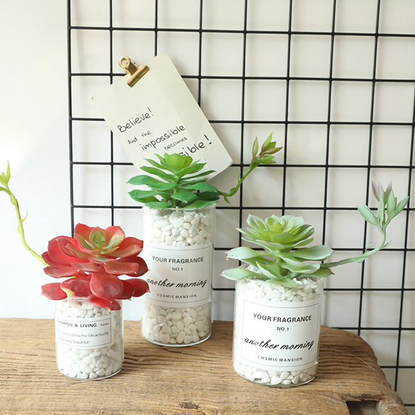 Flor de loto de alta calidad con plantas carnosas de cuerpo combinado para decoración del hogar - 2 