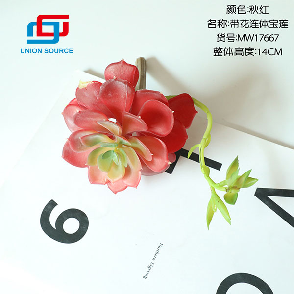 Fleur de lotus de haute qualité avec des plantes charnues à corps joint pour la décoration de la maison