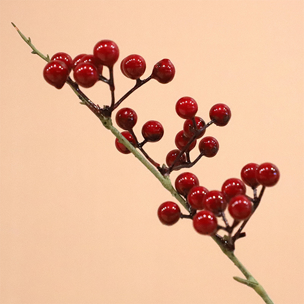 Új stílusú karácsonyi bogyós gyümölcsök fesztiválok lakberendezési - 1