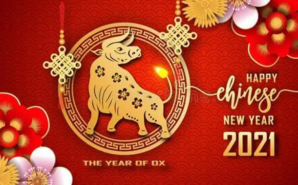 FELIZ ANO NOVO CHINÊS