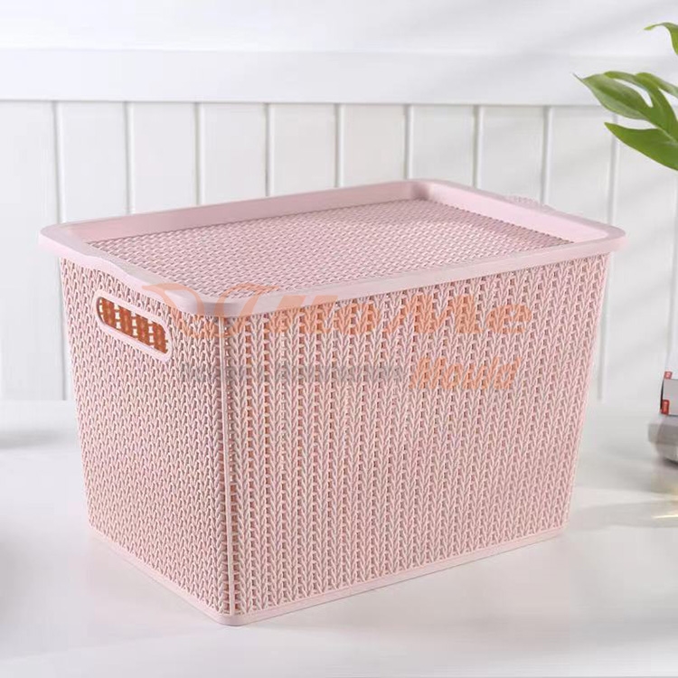 Clothes Storage With Lid Mould - 2 