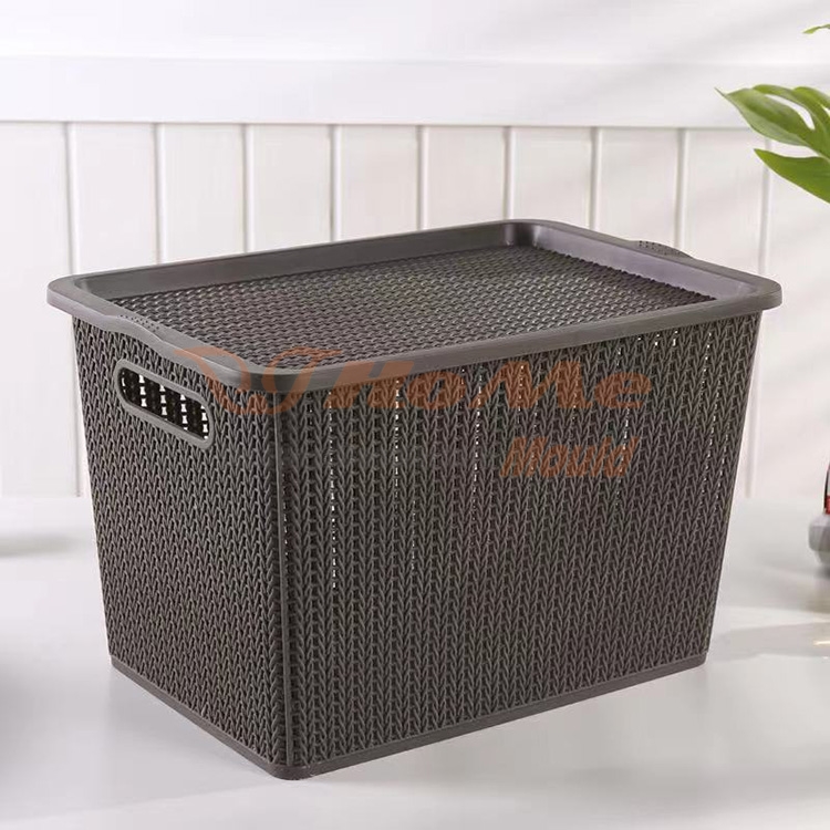 Clothes Storage With Lid Mould - 3