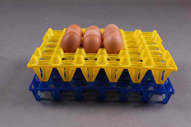 Egg Tray - 9 