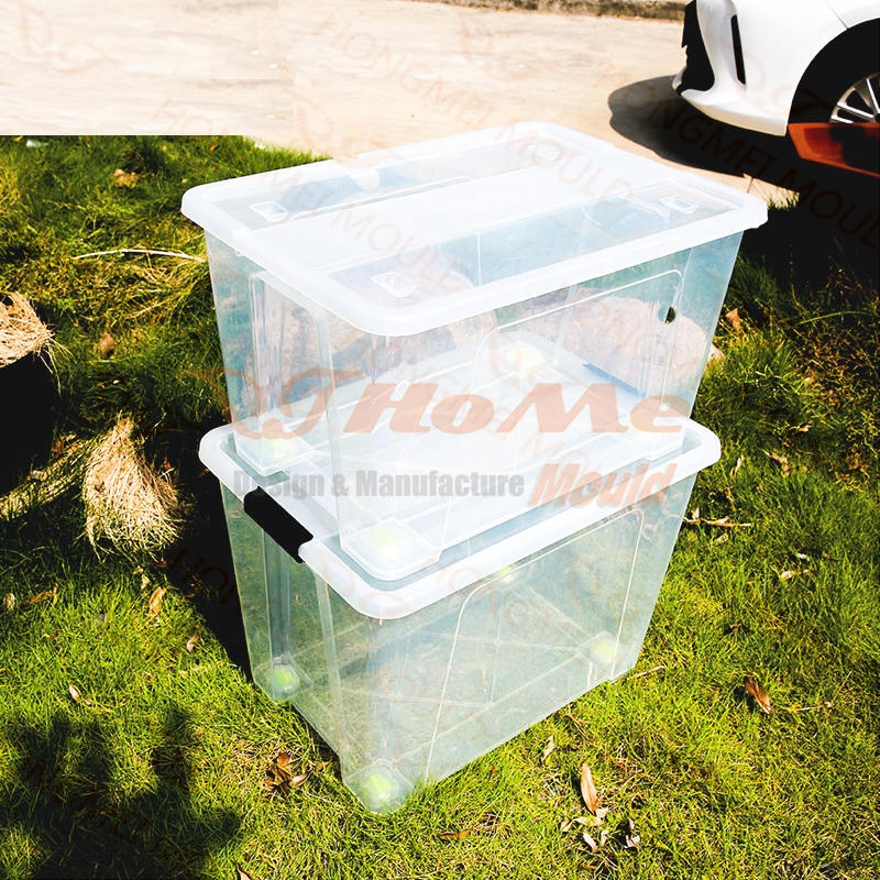 Plastic Transparent Storage Box Mould