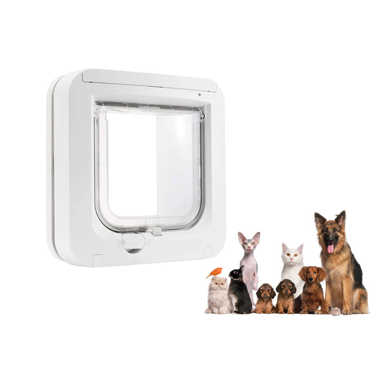 Check Out the Microchip Cat Flap of 2021