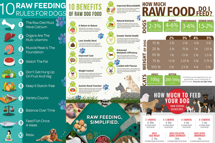 Dog Raw Food Diet para sa mga Baguhan