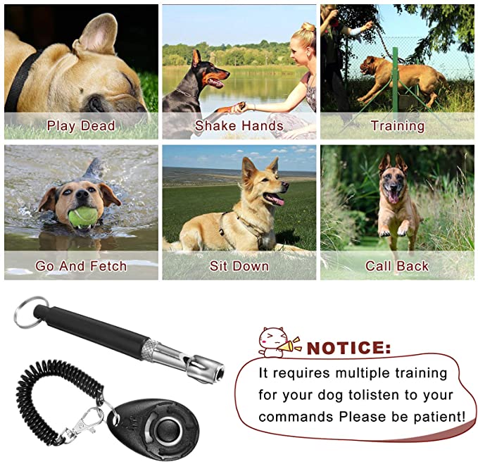 Silbato de entrenamiento para perros ajustable de 6 piezas con kit de clicker - 5