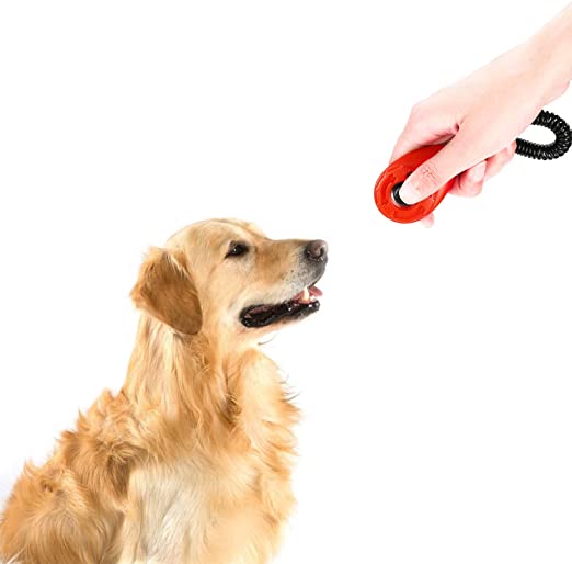 Effektiv hundetreningsklikker med håndleddsstropp - 5 