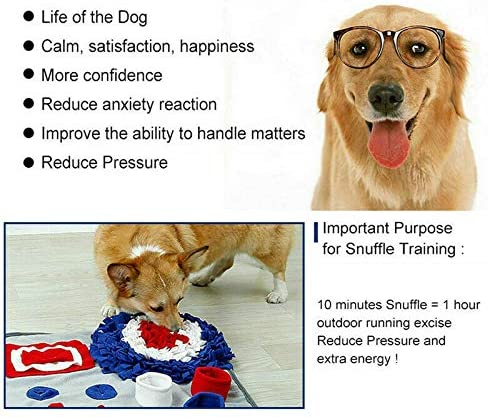 Rutschfeste Haustier Nosework Training Decke Dog Snuffle Mat - 4
