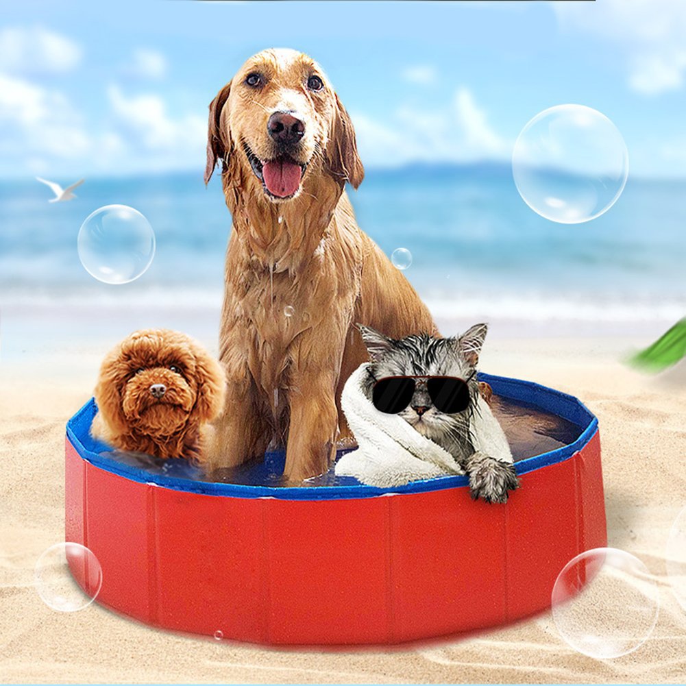 Herramienta de natación para mascotas de PVC plegable portátil al aire libre